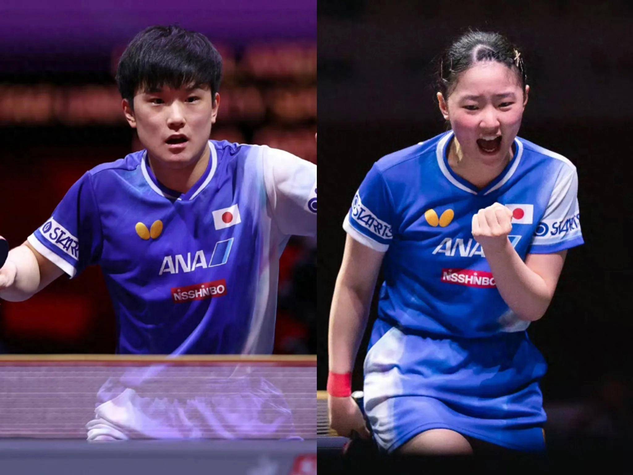 包含瑞典队险胜日本队，张本智和状态火热的词条