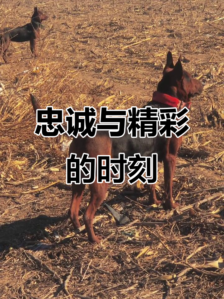 精彩瞬间:这一刻将被永远铭记 精彩瞬间:这一刻将被永远铭记